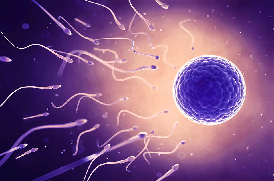 male-infertility-taking-the-first-steps-genesis-fertility