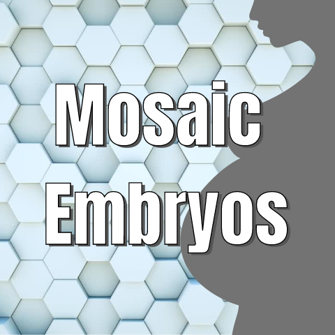 What Are Mosaic Embryos? - Genesis Fertility New York