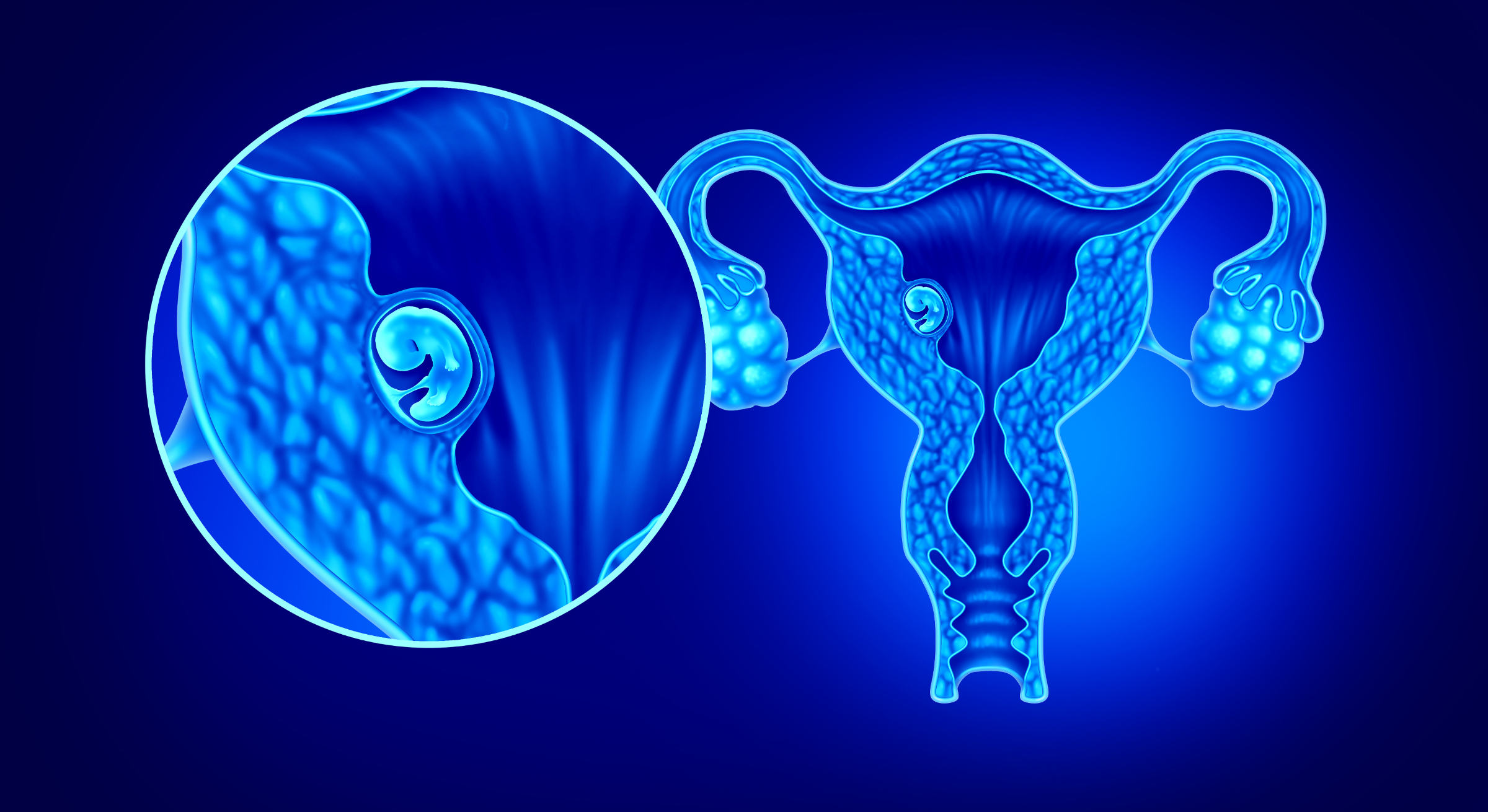 What is implantation? - GENESIS Fertility & Reproductive Medicine