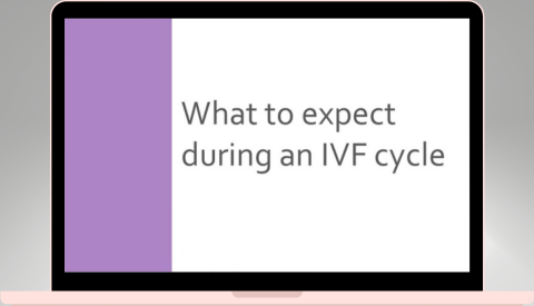 What to expect during an IVF cycle