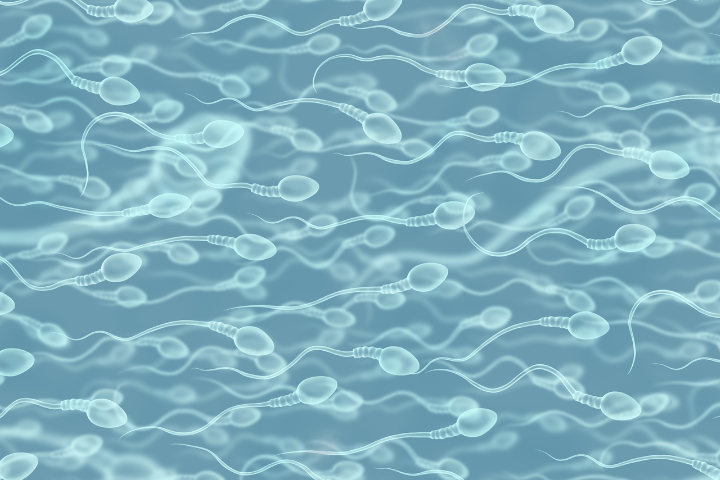 A man's sperm count can vary depending on many factors.