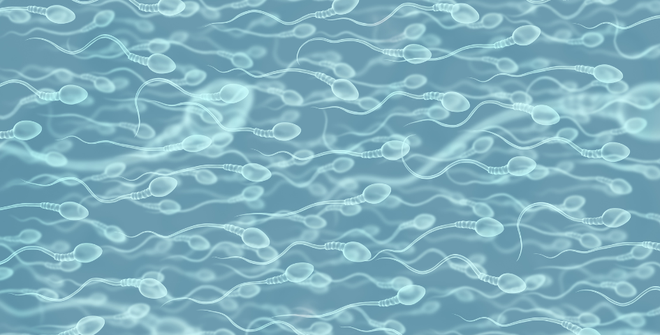 A man's sperm count can vary depending on many factors.