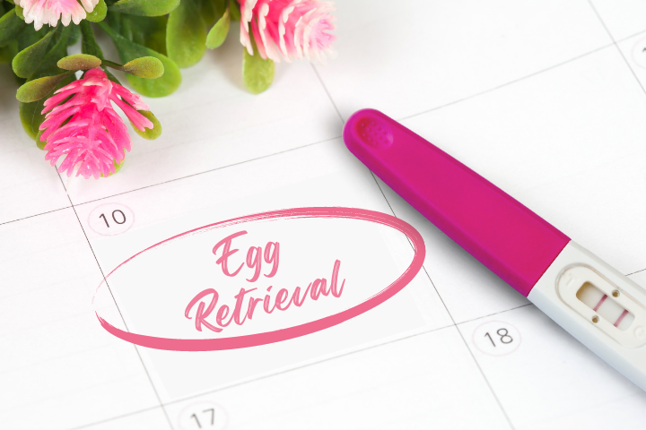 Learn what happens during the two week wait after egg retrieval